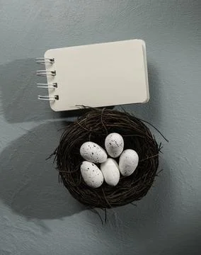 Close up of fresh eggs Stock Photos