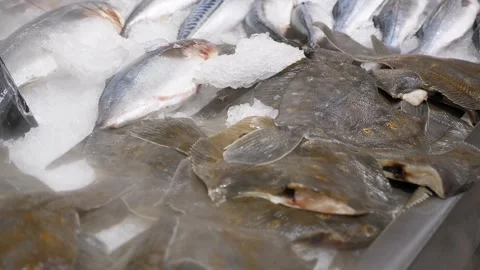 Close-up of fresh fish in ice on a shelf in a supermarket. Stock Footage 311796983