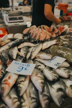 A close up of fresh fish Foto stock