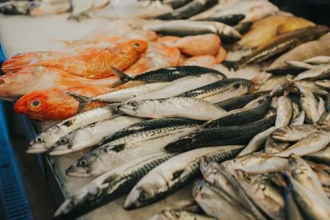 A close up of fresh fish Foto stock