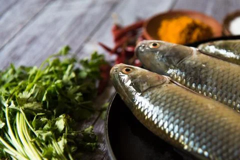 Close up of fresh fish Stock Photos