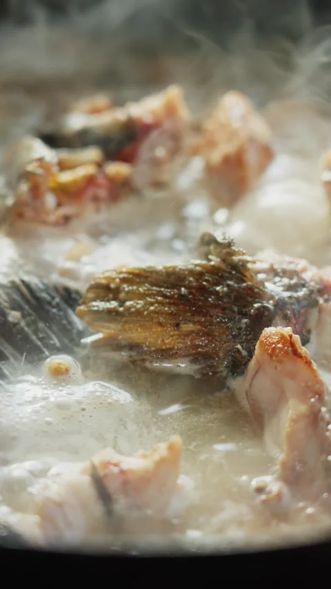 Close-up of fresh fish pieces simmering in boiling milky white fish soup in a Stock Footage 341393174