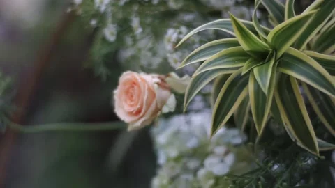 Close-up of Fresh Flower Arrangement for Elegant Wedding Decoration Stock Footage 341004972
