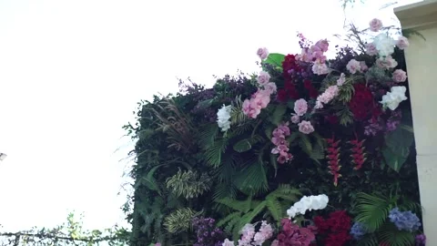 Close-up of Fresh Flower Arrangement for Elegant Wedding Decoration Stock Footage 341012776