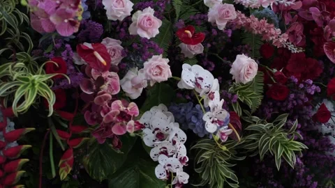 Close-up of Fresh Flower Arrangement for Elegant Wedding Decoration Stock Footage 341013065