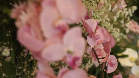 Close-up of Fresh Flower Arrangement for Elegant Wedding Decoration Stock Footage 341101015