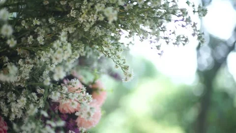 Close-up of Fresh Flower Arrangement for Elegant Wedding Decoration Stock Footage 341108327