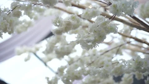 Close-up of Fresh Flower Arrangement for Elegant Wedding Decoration Stock Footage 342081866