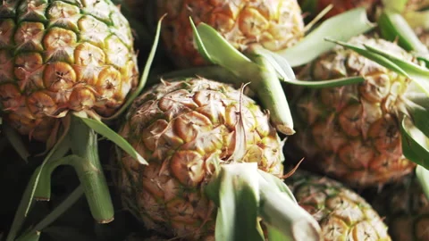 Close up of fresh fruit pineapple on supermarket shelves Stock Footage 186925702
