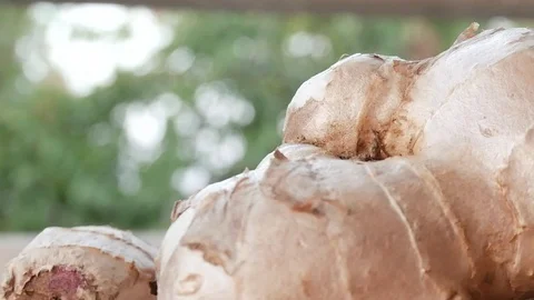 Close up fresh ginger. Stock Footage 85882122