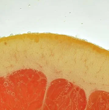 Close-up of fresh grapefruit slice on white background. Slice of red grapef.. Stock-Fotos
