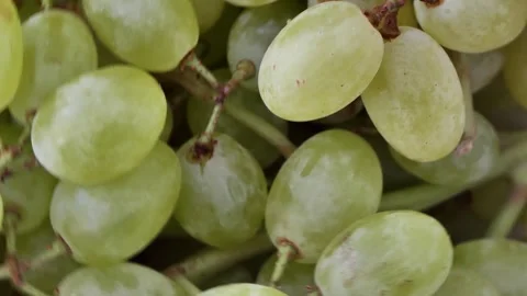 Close-up fresh grapes are rotating Stock Footage 248596787