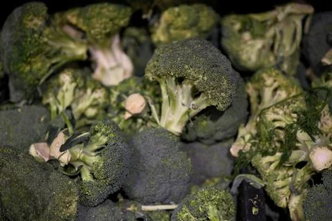Close-up of fresh green broccoli on display in a supermarket produce section Stock Photos