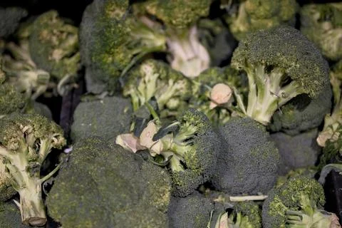Close-up of fresh green broccoli on display in a supermarket produce section Stock Photos