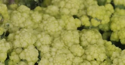 Close up fresh green broccoli with rain water drops. Stock Footage 154807822