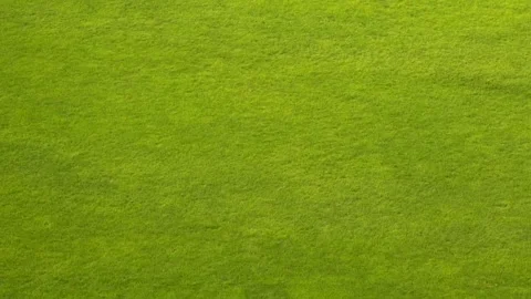 Close up of fresh green grass on a baseball field with the silhouette of a Video stock 337106920