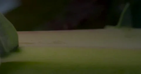 Close up fresh green leaf with rain water drops. 스톡 동영상 154807792