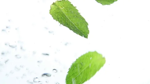 Close up fresh green mint leaves floating in water Stock Footage
