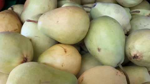 Close-up of fresh green pears piled together as a background for fruit-rela.. Stock Footage 330536666