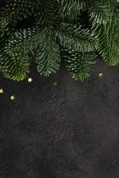 Close-up of fresh green pine branches with confetti in the shape of stars on  Stock Photos