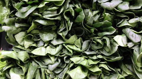 Close-up of Fresh Green Spinach Leaves in Supermarket Stock Footage 333623311