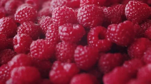 Close-Up fresh, Juicy Raspberry Background, Ripe. Macro Red Raspberries Fruit Stock Footage 233911466