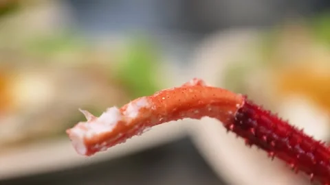 Close-Up of Fresh King Crab Leg Meat Being Pulled from Shell Stock Footage 344217285