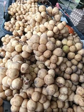 Close up Fresh Langsat which is fruit from the asia, Stock Photos