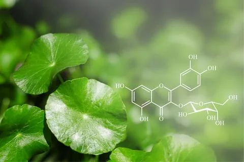 Close-up of fresh leaves with molecular structure illustration. Stock Photos