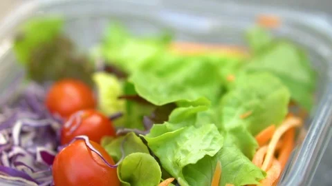 Close Up of Fresh Lettuce and Cherry Tomatoes in Plastic Container Stock Footage 102257649