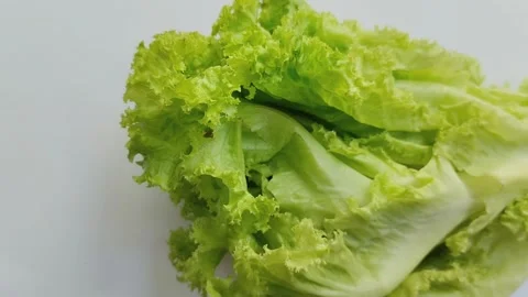 Close up of fresh lettuce on white background 스톡 동영상 285591961