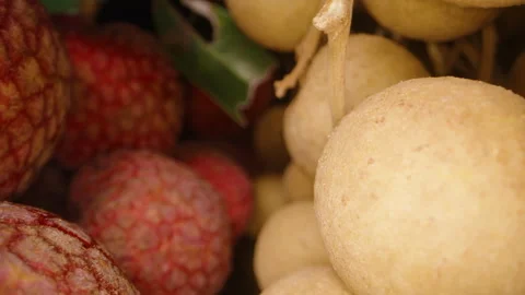Close-Up of Fresh Lychee and Longan Fruits Clustered on Branches with Contrast Stock Footage 311031839