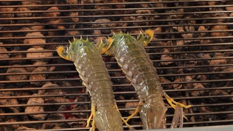 Close Up of Fresh Mantis Shrimp Being Placed on a Charcoal BBQ Grill Stock Footage 344221975