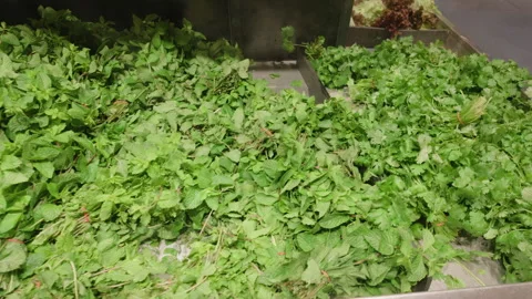 Close-up of fresh mint and herb bundles on display at a market stall, Cote Stock Footage 344828143