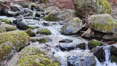 Close-up of fresh mountain stream flowing over mossy rocks in the forest. Stock Footage 332127817