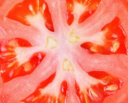 Close-up fresh natural tomato macro to background Stock Photos