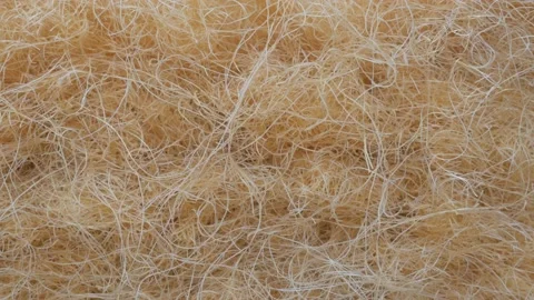 Close-up of fresh noodle ready to be cooked, in Vietnam Stock Footage 232450391