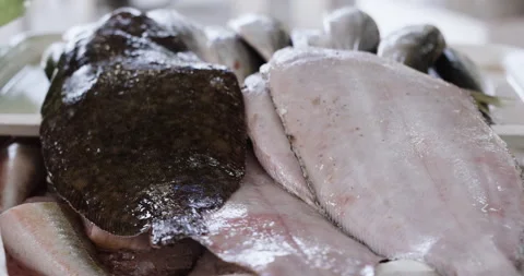Close up of fresh ocean fish like halibut sitting on top of tray on display Stock Footage 158694803