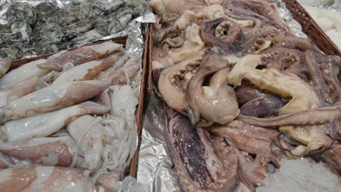 Close-up of fresh octopus and squid on ice in baskets at a seafood market, Cote Stock Footage 344800953