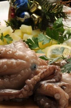 Close up on fresh octopus Foto stock
