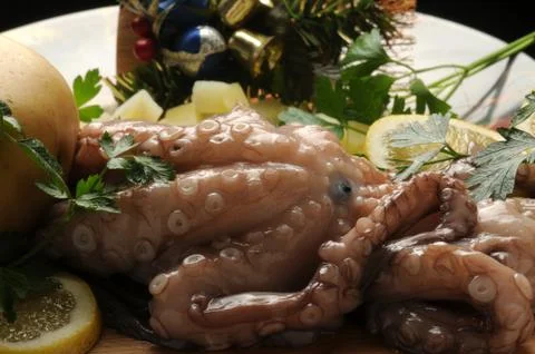 Close up on fresh octopus Stock Photos