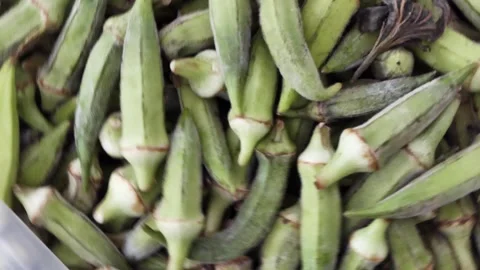 Close-up fresh okras are rotating Video stock 248597173