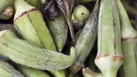 Close-up fresh okras are rotating Stock Footage 248749801