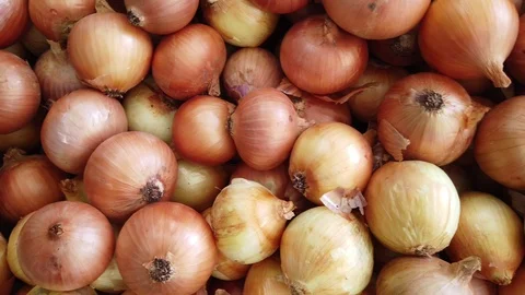 Close up of fresh onion Stock Footage 114805983