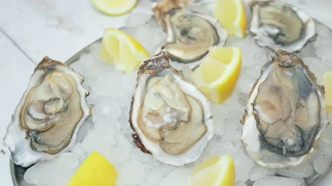 Close-up of fresh opened Oysters on the table in a plate with crushed ice in 4K. Stock Footage 146318692