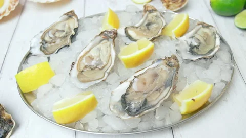 Close-up of fresh opened Oysters on the table in a plate with crushed ice in 4K. Stock Footage 146318733