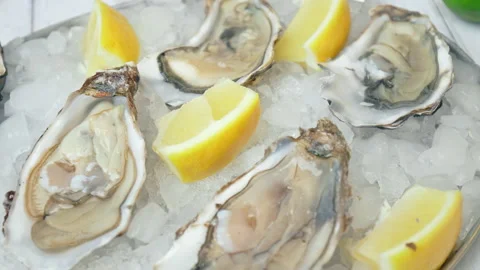 Close-up of fresh opened Oysters on the table in a plate with crushed ice in 4K. Stock Footage 146319494