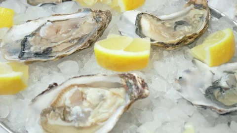 Close-up of fresh opened Oysters on the table in a plate with crushed ice in 4K. Stock Footage 146321295