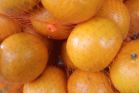 Close-up of fresh oranges in red mesh bag. Stock Photos