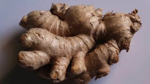 Close-up of a fresh organic ginger root on a plain background Stock Footage 329615563